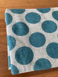 Item thumbnail for item ffa9debd-f9dc-4932-a2de-aacbde2bffff