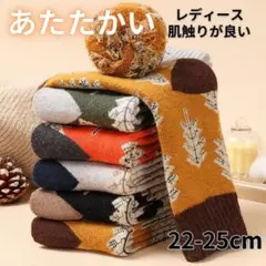 【５足セット】 靴下 ソックス 暖かい レディース 防寒靴下 極暖 冬d1072