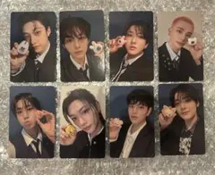 Straykids SKZOO たまごっち トレカセット スキズ　8枚