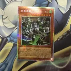 遊戯王 狂嵐異解Δプルートニオン プリシク
