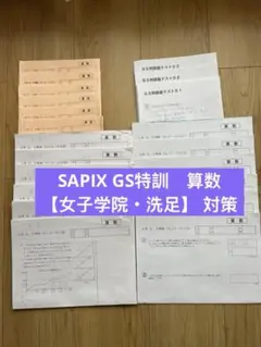 小6】サピックス算数SS特訓 SSOU（桜蔭コース）アプローチ（全11回