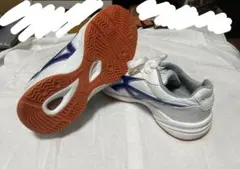 Mizuno シューズ 24.5cmホワイト/ブルー 即購入可