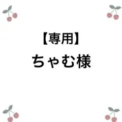 【ちゃむ様専用】オーダー