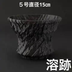 根源〜鳳凰〜 5号直径15㎝ 3dプリンター鉢 作家鉢 アガベ - メルカリ