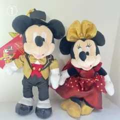 お顔厳選! ミッキー&ミニーぬいぐるみキーホルダー 東京ディズニーリゾート店限定