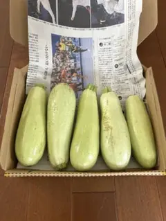 新鮮 ズッキーニ　エメラルド　4または５本　コンパクトボックスのサムネイル