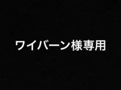 ワイバーン様専用出品