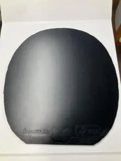 ディグニクス09c