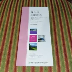 東急不動産　株主優待券(100株以上)