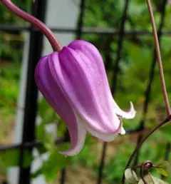 Chum様 リクエスト 3点 まとめ商品