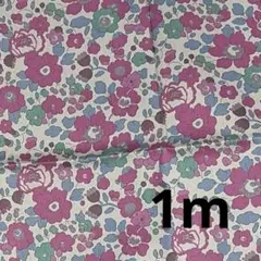 リバティ　ベッツィ　雅姫さん　HH 1m タナローン