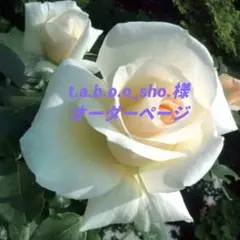 t.a.b.o.o_sho.様専用ページ