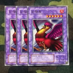 遊戯王 紅陽鳥 3枚セット くまろんA