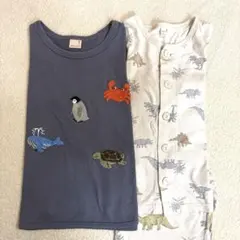 プティマイン　Tシャツ　120