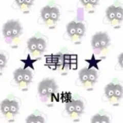 N様 リクエスト 19点 まとめ商品