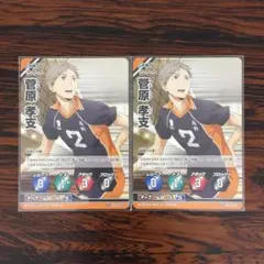 3601 レアバボ 菅原 孝支 ハイキューバボカ ハイキュー