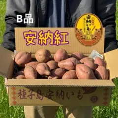 種子島安納いも Ｂ品 Ｓサイズ 5㎏