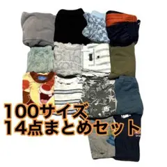 14点まとめセット Tシャツ パンツ 100 トレーナー パーカー 子ども服