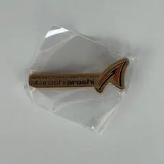 【会場限定ガチャ】We are ARASHI * 歴代ライブロゴマグネット