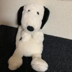 vintage PEANUTS ロングポーチ