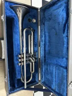 Item thumbnail for item bdf78f85-b179-4928-b797-74eb044be1f1