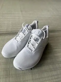 ecco ゴルフシューズ 女性用 ホワイト/シルバー ecco ゴルフシューズ 女性用 ホワイト - メルカリ