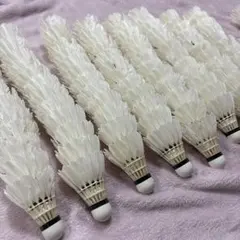 バドミントン　シャトルのサムネイル