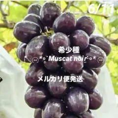 2026年最新】マスカットノワールの人気アイテム - メルカリ