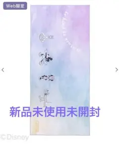 値下げ！未開封　SUKALA スカーラ　LAVA限定Disneyプリントヨギラグ