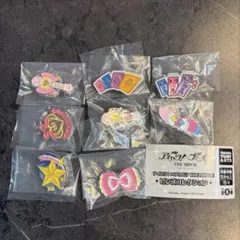 アイカツ！×プリパラ ピンズコレクション コンプリート