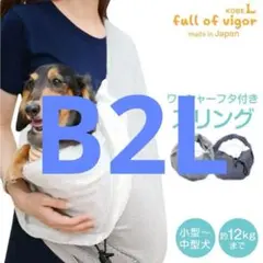 Item thumbnail for item 41f77429-84d2-48bf-a6f9-a549bed18fde