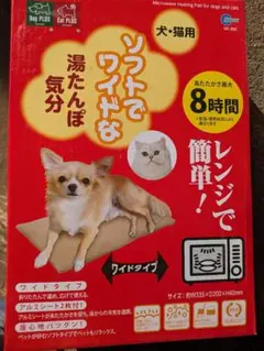 Item thumbnail for item 888f645c-e5ff-4117-be9f-2b4456ac938e