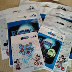週末ちょっと値下げDisney Resort２００９ ディズニーランド袋のサムネイル