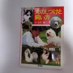 Item thumbnail for item 329533c3-ee46-4611-a0b6-4b6a5026c3ff