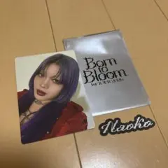 ナオコ　HANA　フォトカード　ステッカーセット