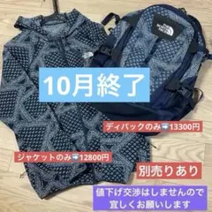 THE NORTH FACE ダウンジャケット チェック柄 北米限定モデル - メルカリ