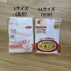 グンゼ　レディース 下着 LとLL