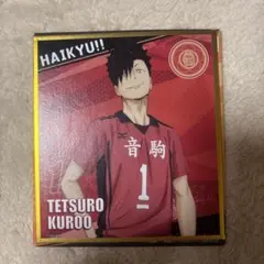 ハイキュー!! 黒尾鉄朗 トレーディングミニ色紙
