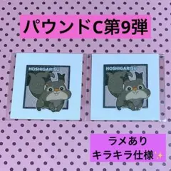ポケモン デコキャラシール パウンドC第9弾 ホシガリス 2枚 セット ラメ