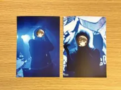 めろんぱーかーブロマイドvol3 かもめ　実写