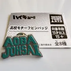 ハイキュー 高校モチーフピンバッジ 青葉城西高校