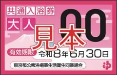 匿名発送　東京都共通入浴券 大人 2枚セット 2026.6.30までのサムネイル