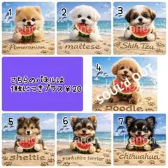 オーダーページ 5/15スイカわんこ☆438 パネル ハンドメイド - メルカリ