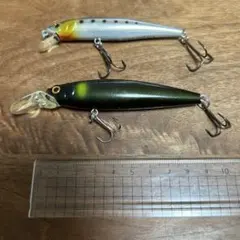 シーバス、マゴチ、ヒラメミノーお得2本セット！レンジミノー、シーバスハンターⅢSのサムネイル