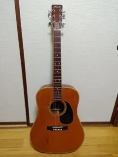 Epiphone GUARANTEED PR-200 NS - メルカリ