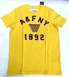 全盛期 USA正規店購入　新品Abercrombie＆FitchTシャツS