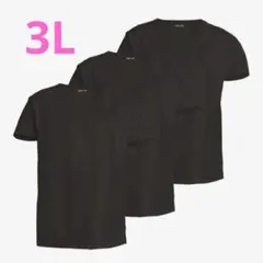 Item thumbnail for item 8806f37b-ee17-4ced-9357-d605fe2f12d9