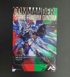 アーセナルコマンダー ストライクフリーダムガンダム TEST-002