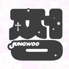 NCT127 ペンライト 草鈍器 反射 ステッカー ジェヒョン smoke ロゴ