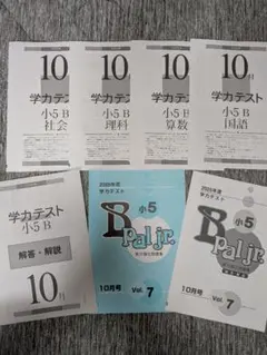 学力テスト小5B pal jr. 2025年度10月号解答・解説付き